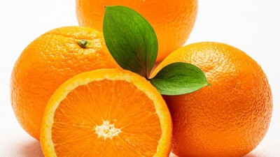 놓치면 후회! 오렌지대 🍊특가 득템 후기 & 꿀팁 대방출!